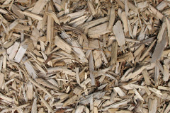 biomass boilers Gurnos